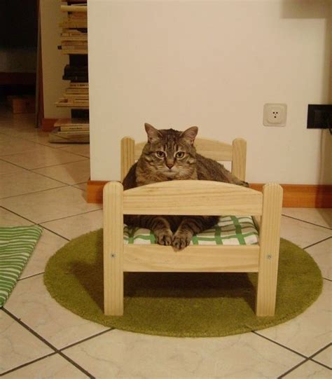The 15 Best Things About Cat Bedtime Ikea Cat Bed Ikea Cat Cat Bed