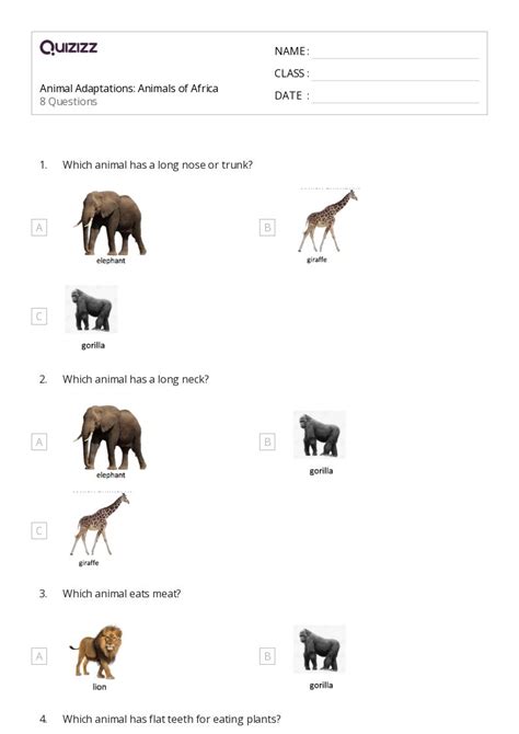 50 Animal Adaptations Worksheets On Quizizz Free And Printable