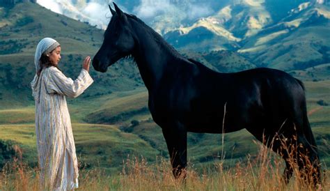 The Young Black Stallion Nearby Showtimes Tickets Imax