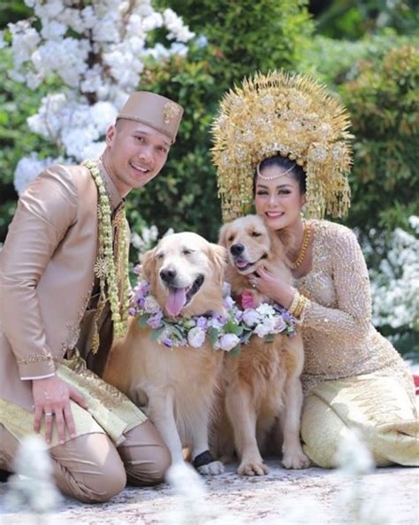 Seorang wanita meninggal sia sia usai bersetubuh dengan anjing. Baru Menikah, Ini 5 Potret Bima Aryo dan Istri - kumparan.com
