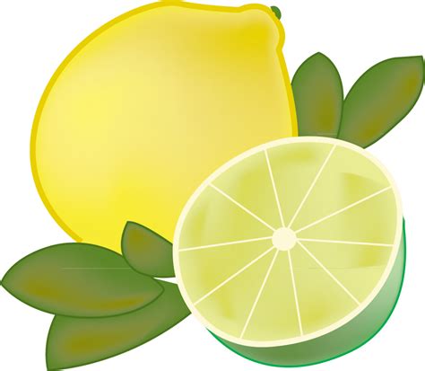 Lime Clipart Clip Art Lime Clip Art Transparent Free For Download On