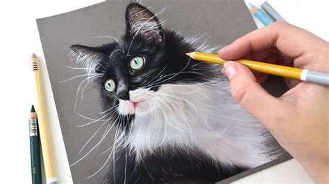 How To Draw Long White Fur With Pastel Pencils Real Time Youtube