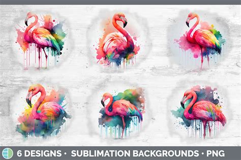 Rainbow Flamingo Background Grunge Sublimation Backgrounds By Enliven