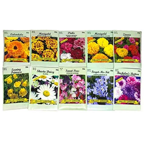 Set Of 50 Flower Seed Packets Flower Seeds In Bulk 15 Or