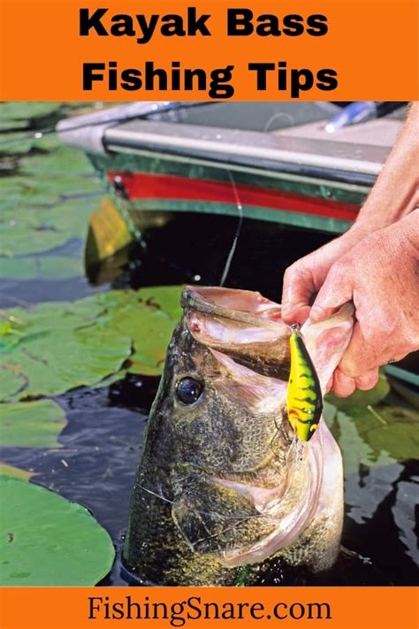 Kayak Bass Fishing Tips Best Tricks To Become A Pro Kayak Angler