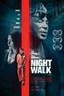 Night Walk (2019) by Aziz Tazi