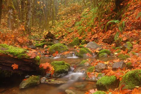 4k 5k Great Smoky Mountains National Park Usa Parks Forests