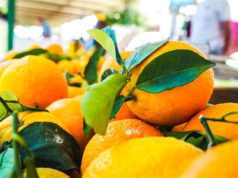 A Grade Maharashtra Fresh Nagpur Oranges Packaging Size 10 Kg