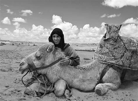 Camel saddles, the art of saddling a camel by doug baum. Pin on Magic Black and Whites