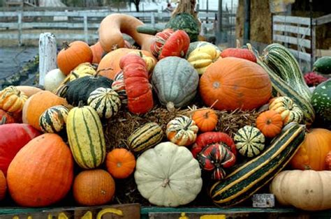 Celebrate Fall Harvest At Legare Farms Dinner A La Carte