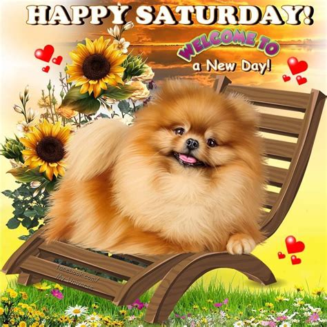 Welcome To A New Day Happy Saturday Saturday Saturday Quotes Happy