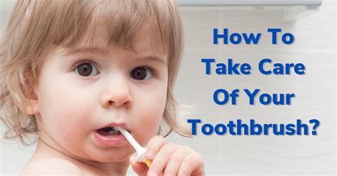 How To Take Care Of Your Toothbrush Dental Insurance Insiders