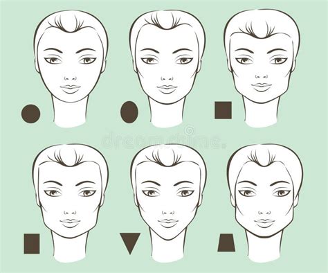 Female Face Shapes Stock Vector Illustration Of Forehead 70592062