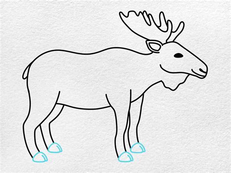 How To Draw A Moose Helloartsy