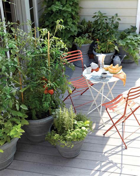 Small Space Garden Ideas Martha Stewart