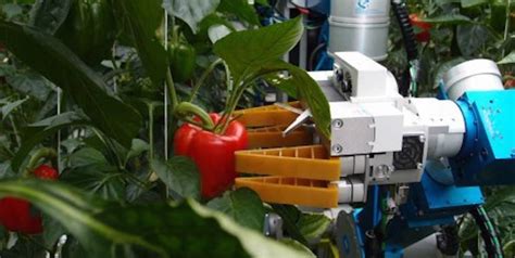 Robot Agricoli Il Farm Robot Per Lagricoltura Automatizzata Digitalic