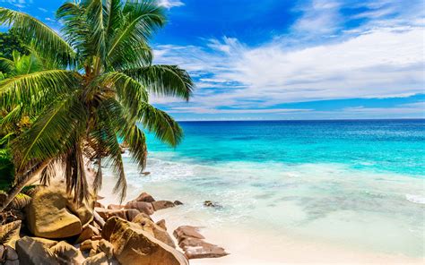 Beautiful Beach With Sand Green Palm Trees Sea Clear Water Rocks