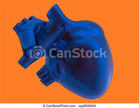 Model Of Artificial Human Heart Canstock