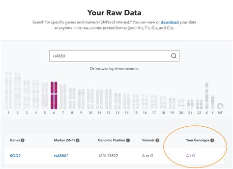 How To Check Your Genetic Raw Data For An Rs Id Number 23 And Me Or Ancestry Dna