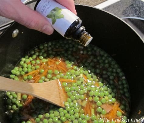 How do you keep ducks in winter? Chickens' Soup, A Healthy Winter Treat for Chickens | The ...
