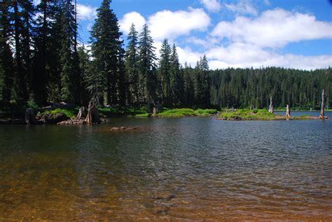 Maybe you would like to learn more about one of these? Goose Lake | Goose Lake. Gifford Pinchot National Forest ...
