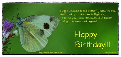 Birthday Card With Irish Blessing May The Wings Of The Butterfly Kiss