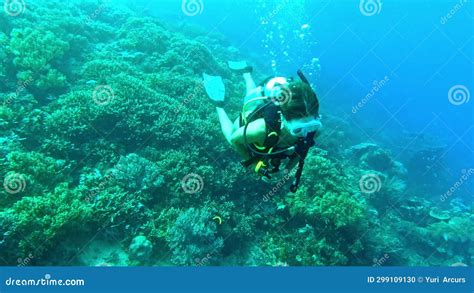 Adventure Woman Scuba Diving In Coral And Nature Under Water In Raja Ampat Biodiversity Or