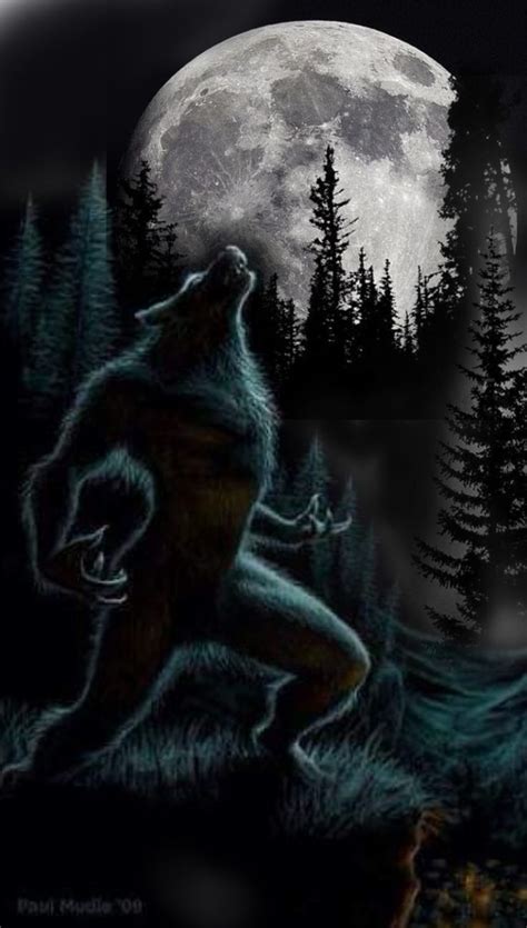 A Drawing Of A Bear Sitting On The Ground In Front Of A Full Moon And Trees