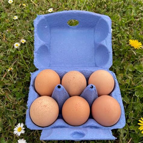 6 Large Free Range Hen Eggs Westerton Farmers