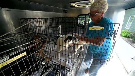 Blount County Animal Shelter Prepares Animals For Transport To Out Of