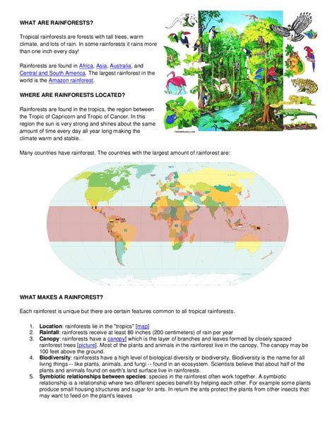 What Are Rainforests By Jesus Gonzalez Issuu