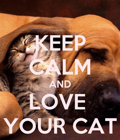Keep Calm And Love Your Cat Poster Liana3586 Keep Calm