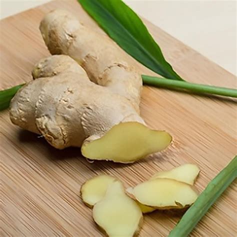 Culinary Ginger Zingiber Officinale Ginger Rhizomeszingiber Officinale Commonly Known As