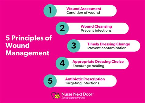 The Principles Of Wound Management