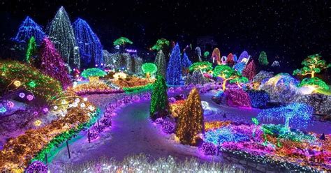 Garden Of Morning Calm Lighting Festival And Snowy Land Day Tour From