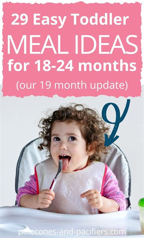 29 Easy Toddler Meal Ideas For 18 24 Months Our 19 Month Update