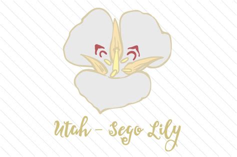 State Flower Utah Sego Lily Svg Cut File By Creative Fabrica Crafts