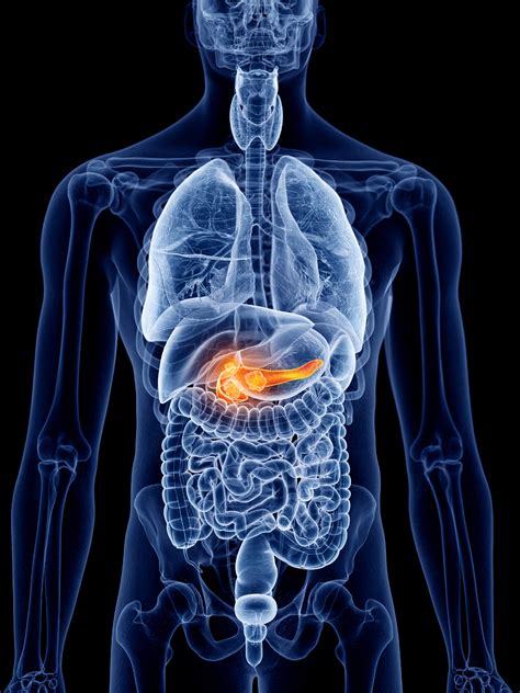 Pancreatic Cancer MedlinePlus