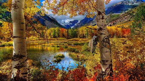 Autumn Pond Wallpapers Wallpaper Cave