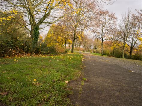 They were subjected to the severe restriction of the judenordnung enacted for the whole of *hesse jewry in 1585 and reimposed in 1629. Jogging-Guide, Folge 1: Bürgerpark Nord - P Stadtkultur ...