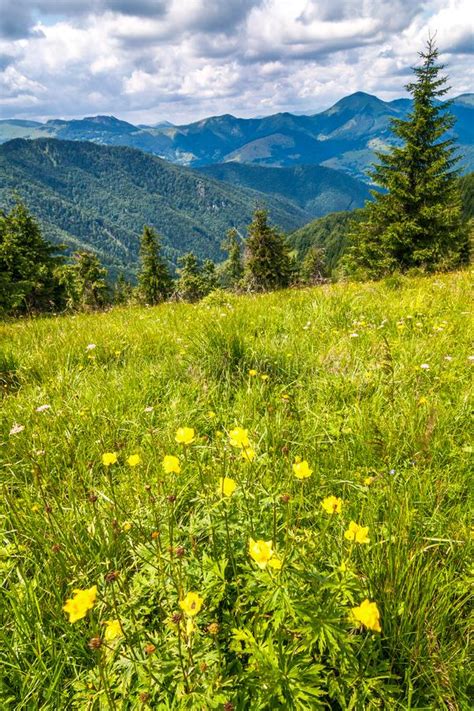 Spring Landscape With Flowery Meadows And The Mountain Peaks Stock