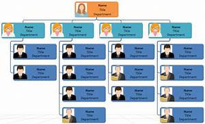 Company Org Chart Do You Know All Of These Essential Types Org Charting