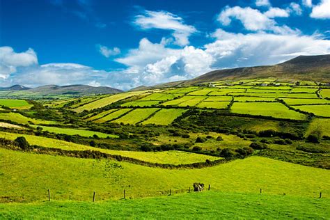 Ireland Countryside Stock Photos Pictures And Royalty Free Images Istock