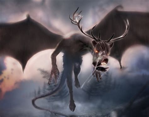 jersey devil description sightings and investigations