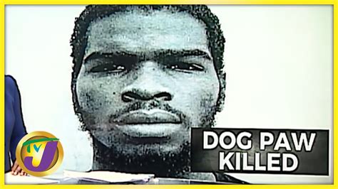 Alleged Gangster Dog Paw Killed By Police Tvj News Oct 11 2021