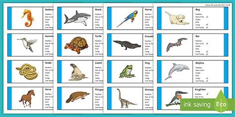 Classifying Vertebrates Animal Cards Twinkl