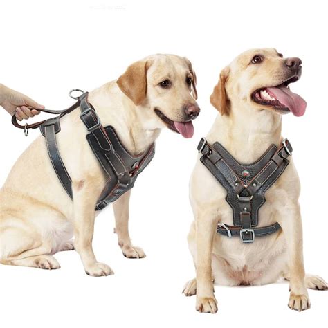 Durable Dog Harness Large Dogs Genuine Leather Harnesses Pet Etsy