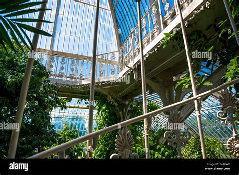 Palm House Interior Kew Royal Botanic Gardens London Uk Stock Photo