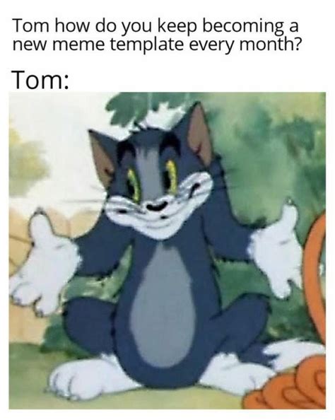 160 Funny Tom And Jerry Memes To Keep You Laughing Fandomspot