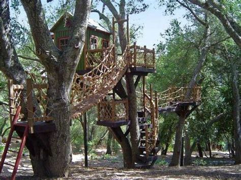 Tree Houses For Adults Barnorama